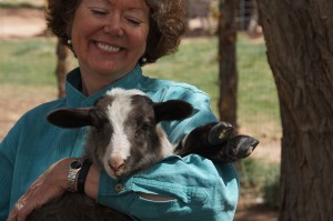 Teresa with Simone, a Navajo Churro lamb