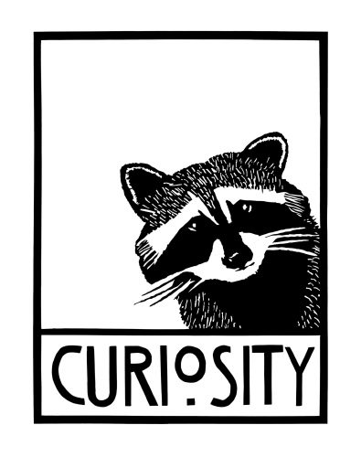 Curiosity may have killed the cat, but it saved the raccoon. Early in the 20th century, research psychologists used raccoons as test subjects because of their intelligence and curiosity, but the creatures proved hard to handle. As indomi¬table as they were inquisitive, they would chew through their cages and hide out in unexpected places. In time, researchers turned to rats, which proved to be more tractable.