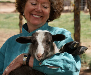 books film and broadcast